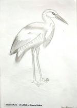 Záhorová Karin.jpg